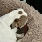 View Gallery Image #4