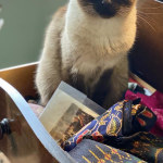 View Gallery Image #11