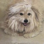 View Gallery Image #6