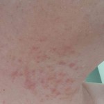 View Gallery Image #10