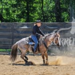 View Gallery Image #5