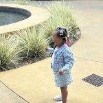 View Gallery Image #9