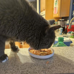 View Gallery Image #7