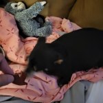 View Gallery Image #5