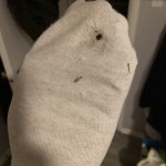 View Gallery Image #14