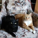 View Gallery Image #10