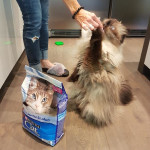 View Gallery Image #13