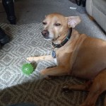 View Gallery Image #7