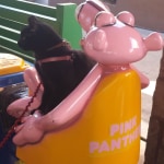 View Gallery Image #12