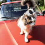 View Gallery Image #8