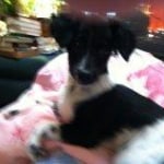 View Gallery Image #14