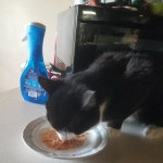 View Gallery Image #15