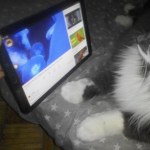 View Gallery Image #15