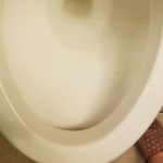 View Gallery Image #14