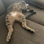 View Gallery Image #7