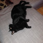 View Gallery Image #1