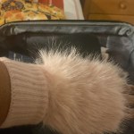 View Gallery Image #3