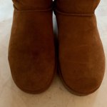 Bearpaw cleaning kit new arrivals