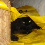 View Gallery Image #6