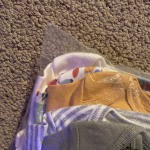 View Gallery Image #2