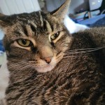 View Gallery Image #11