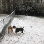 View Gallery Image #9