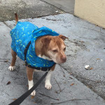 View Gallery Image #12