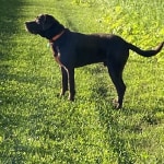 View Gallery Image #2