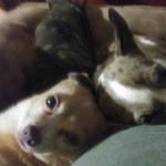 View Gallery Image #1