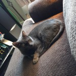 View Gallery Image #2