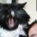 View Gallery Image #2