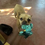 View Gallery Image #3