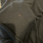 View Gallery Image #4