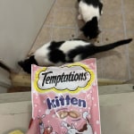 View Gallery Image #13