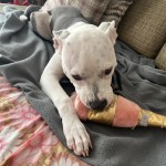 View Gallery Image #10