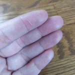 View Gallery Image #6