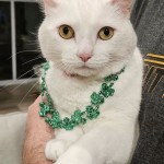 View Gallery Image #2