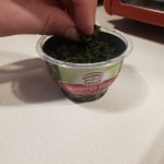 View Gallery Image #9