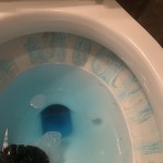 View Gallery Image #5