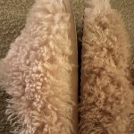 View Gallery Image #2