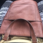 Fossil amelia small bucket bag store