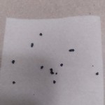 View Gallery Image #6