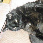 View Gallery Image #6