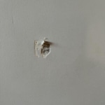 View Gallery Image #4