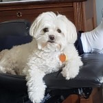 View Gallery Image #12