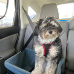 View Gallery Image #4