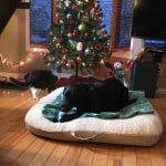 View Gallery Image #2