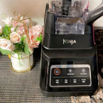 Ninja BN701 Professional Blender - Black 622356561884