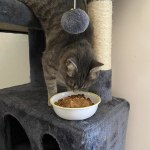 View Gallery Image #9