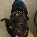 View Gallery Image #1